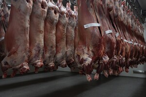 'Ruys Groep is voor ons de juiste vaktechnische partner gebleken'