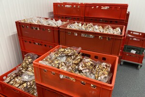 'We zetten graag een stapje extra voor onze klanten'