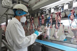 Levendig debat over eiwitbalans in COV Meat Café