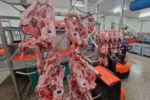 COV Meat Caf&eacute;: 'Samenwerken aan voedselstrategie is cruciaal'