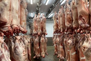 Solina neemt Asenzya® Inc over: 'Biedt ons brede bereik'