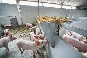 AH stimuleert biologisch vlees met nudgingcampagne