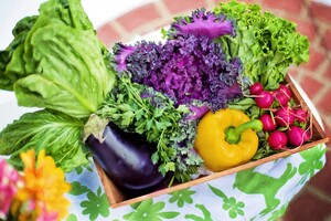 Schouten Europe lanceert No Egg White: plantaardig ei-eiwit