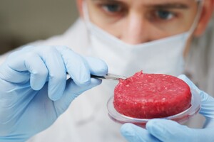 Van de Velde neemt afscheid als lector Eiwittransitie op HAS