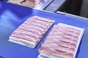 ‘Veel veiliger’ vlees zagen met lintzagen met camerasysteem
