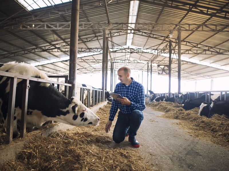 &lsquo;Wij accepteren niet dat boeren vogelvrij worden verklaard&rsquo;