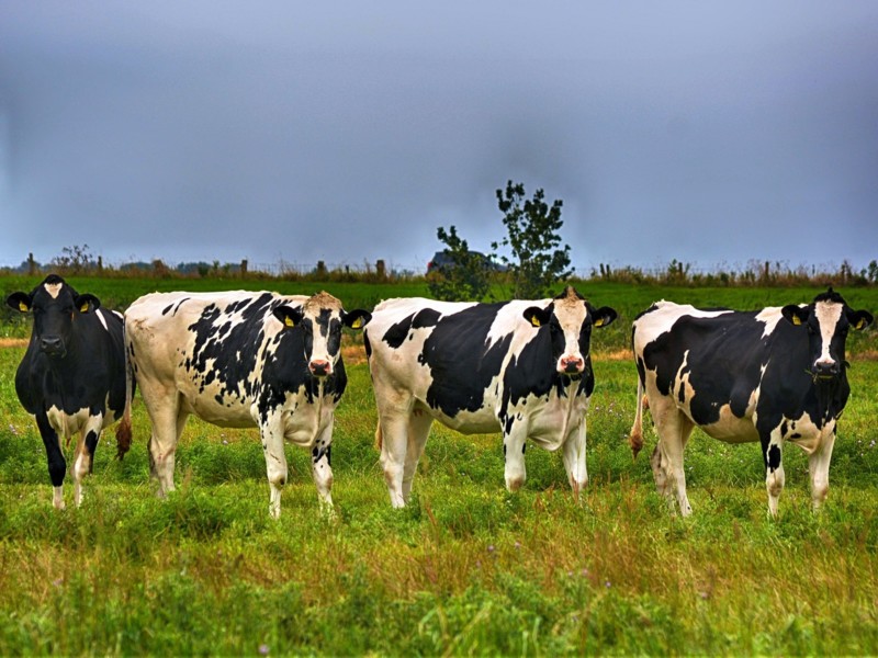 ’Doe mee met de omslag naar kringlooplandbouw’