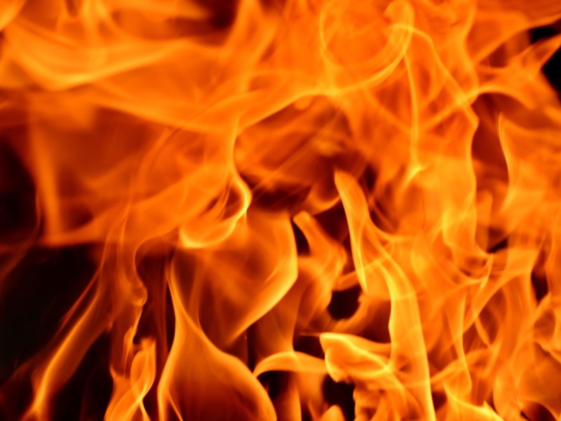 '122.000 dieren kwamen in 2018 om door stalbrand'