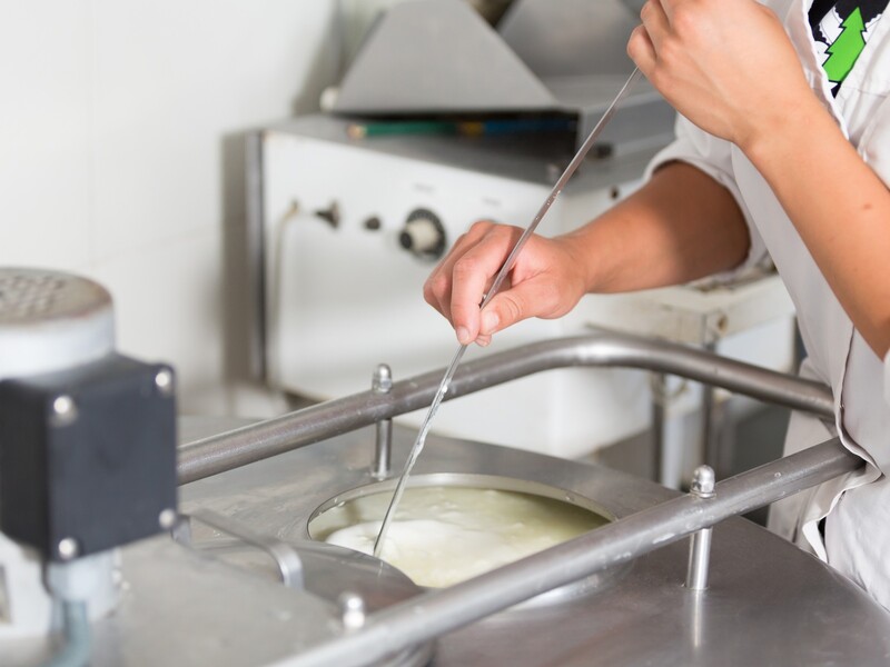 1,3 miljoen euro budget voor innovatie en opschaling in agrifood