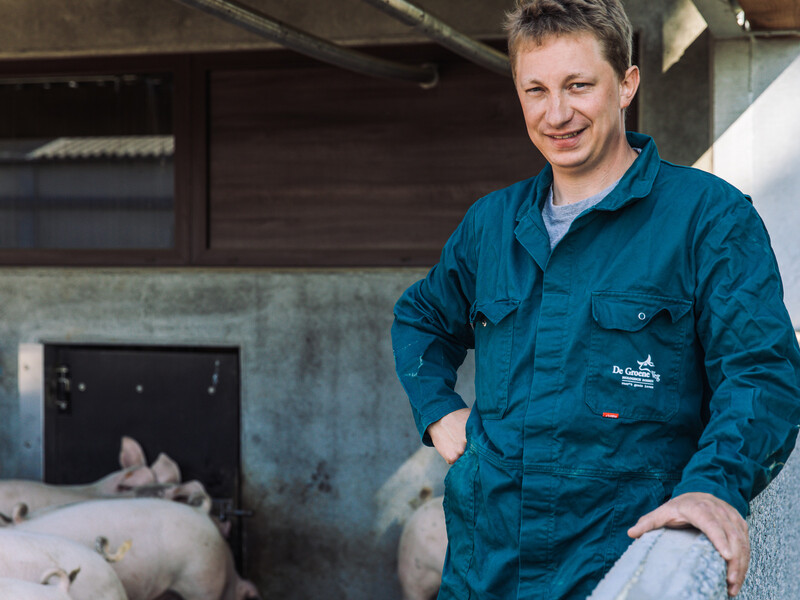 Eerste Belgische varkens geleverd aan De Groene Weg