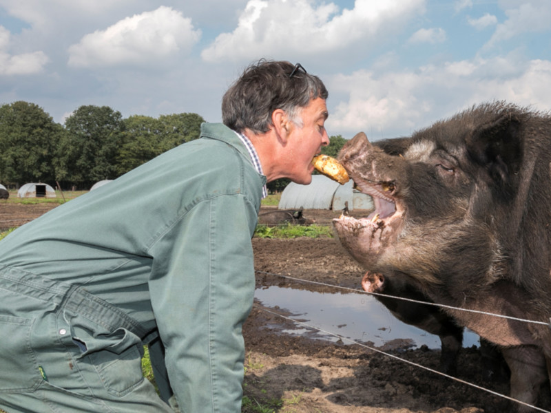 Varkenshouder leert varkens poepen op aangewezen plek