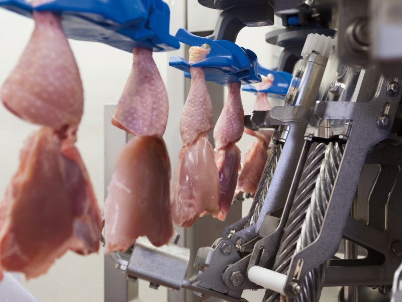 Consortium investeert in poultrysector in Indonesië