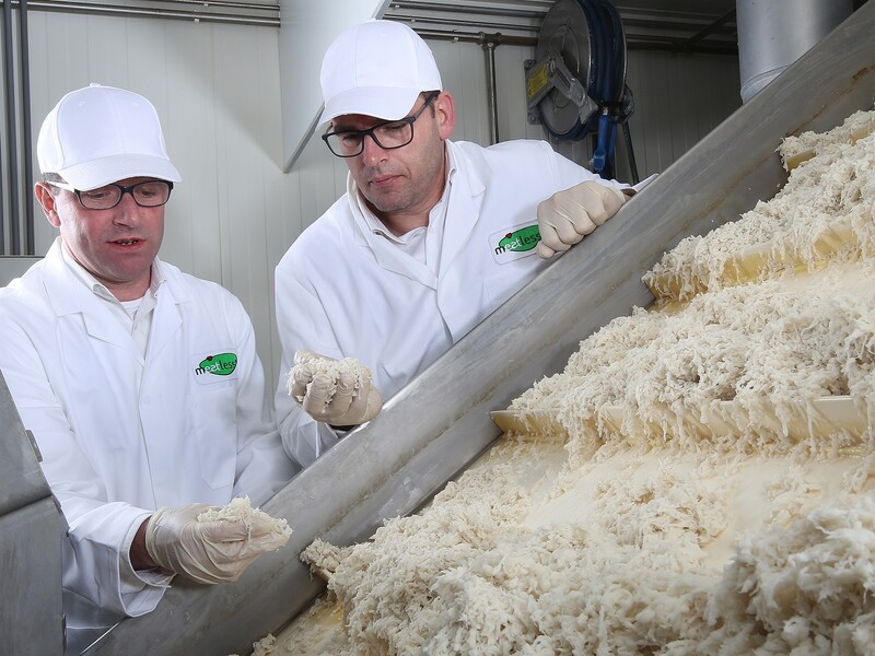 Beneo neemt Meatless BV in Goes over