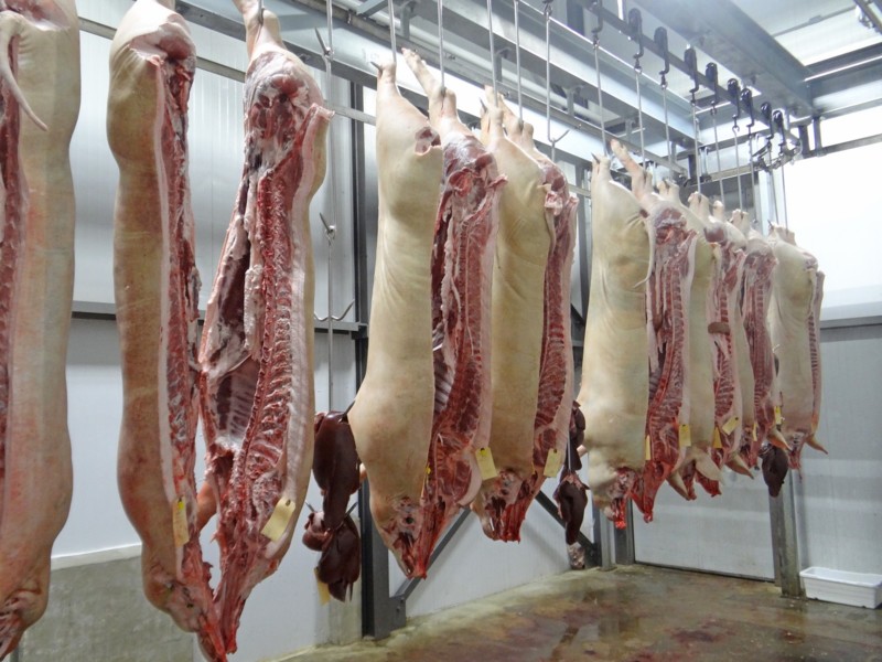 Extra reiniging veevervoer uit Bulgarije