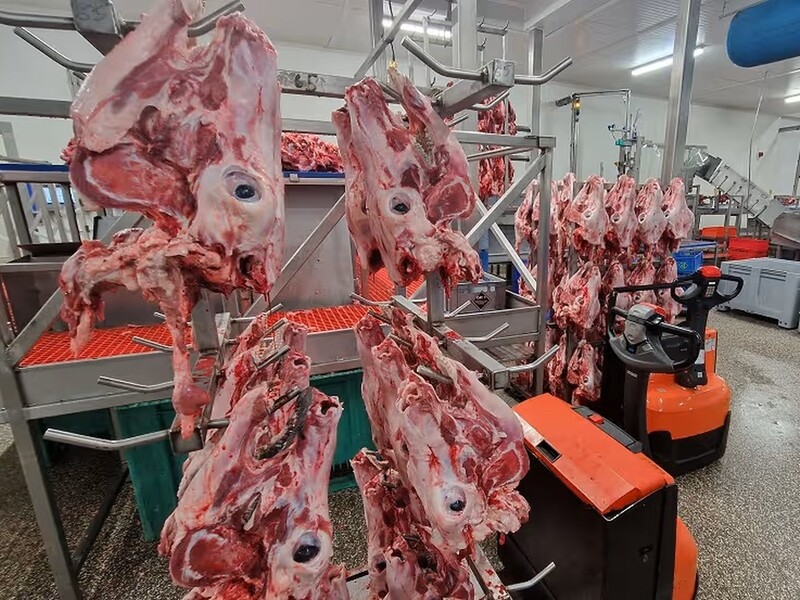 Directeuren vleesverwerker opgepakt in onderzoek naar fraude