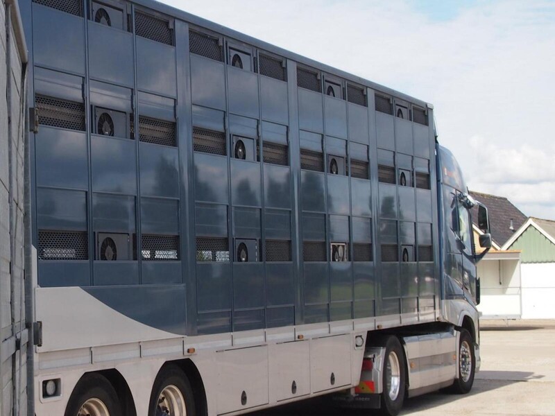 Vee&Logistiek veroordeelt misstanden bij veetransport