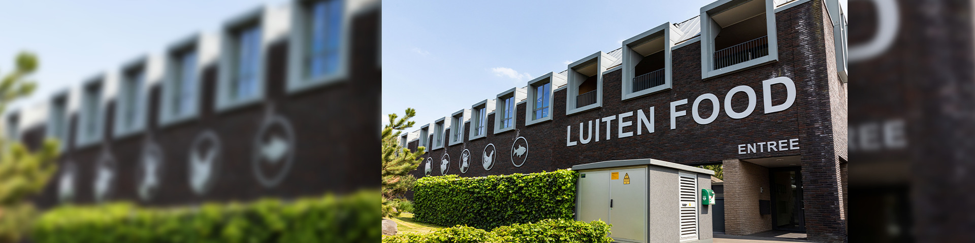 Hoe Luiten Food efficiënter groeit met een flexibel ERP-systeem 
 