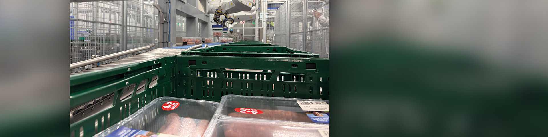 Mensen, vaardigheden en automatisering in een veranderende vleesindustrie
&nbsp;